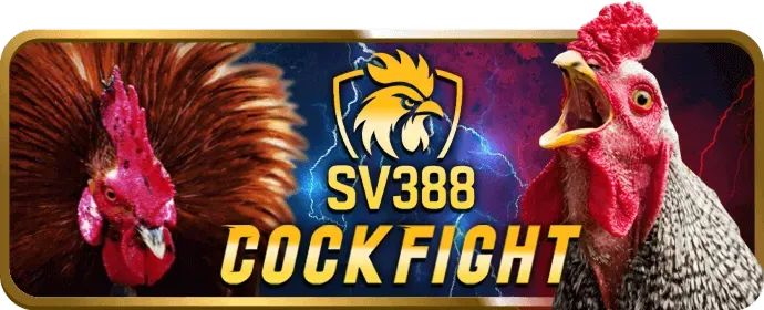 Thưởng hoàn trả cao hơn cho VIP J9bet Code